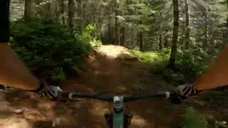 Alsea Falls - Chutes and Boulders Trail
