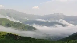 Saving Armenia's Endangered Amphibians & Reptiles from Extinction