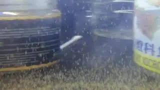 BBS berjaya di tetaskan tanpa air rator