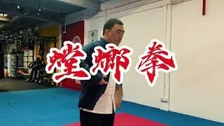 Shaolin Tanglang Quan - Mantis Fist