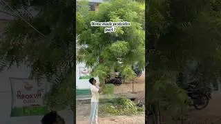 Home made pesticides part 1 (Neem infused oil)