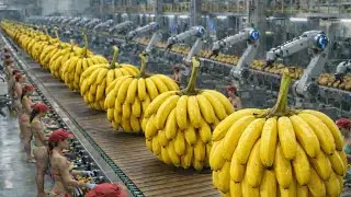 Inside the Banana Factory: From Fresh Ripe Melons to Irresistible Juice (Full Process)