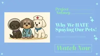 Project Nutmeg: Why We HATE Spaying Our Pets!