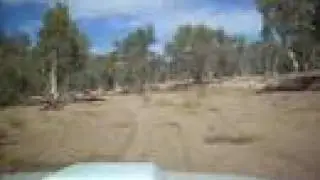 Cruisin down the DRY Todd River