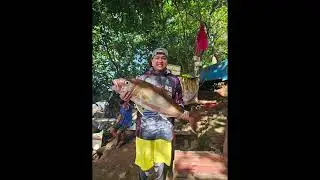 One Lure