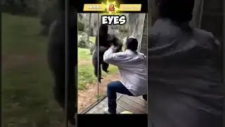 AWESOME INTERESTING MOMENT OF ANIMALS #funny #virals #failvideo #short #afv