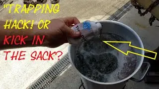 Preparing Traps with Pete Rickard&rsquo;s Trap Dye &ndash; Traditional Wood Dye for Better Trapping