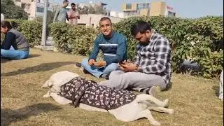 Street dog sitting position in different style 😲
