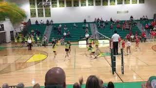 Ellie Carlson 2020 Volleyball Districts and State Championship