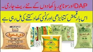 New rates of DAP, SONA Urea, NP, MOP, SOP, and FFC DAP Fertilizer 2022| Today Fertilizer Price 2022