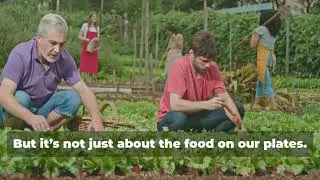 Europe&rsquo;s Seed Patent War: Coming to a city near you!!!🫵! Part 1 #AgriInnovation #seeds #foodsecurity