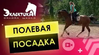 Полевая посадка на галопе на лошади. Верховая езда