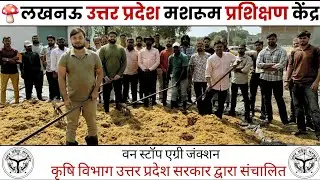 मशरूम प्रशिक्षण केंद्र लखनऊ उत्तर प्रदेश || Mushroom cultivation and training center Lucknow (U.P.)