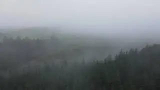Foggy Drumkeeragh forest- 4k drone footage: Northern Ireland