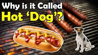 Why Do We Call It a Hot Dog?