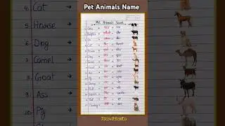 15 Pet Animals Name in English and Hindi | Pet Animals Name #petanimals #shorts #trending #cow #dog