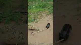 Simply idea but useful with quail trap #shortvideo #animaltrap #ytshorts