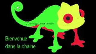 ASTUCE DU  NET (t&eacute;l&eacute;charger des vid&eacute;os et sons sans logiciels)