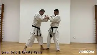 TOP VIDEO -Karate freestyle - applications