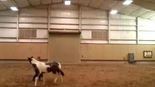 Short Training Session with 