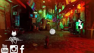Stray Chapter 10 Midtown Walkthrough All Memories Unlocked