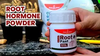 Root Fast Rooting Hormone, Promotes Rooting, Grow New Plants from Cuttings, Best Result