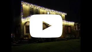 C9 Transparent Colored Bulbs from Novelty Lights