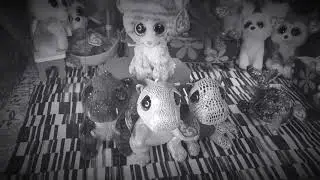 Beanie Boo Music Video - Courage to Change