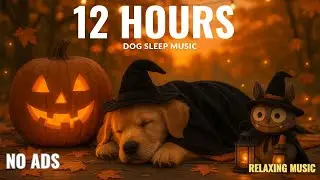 🎃 12 Hours of Calming Dog Sleep Music | Relax & Reduce Anxiety