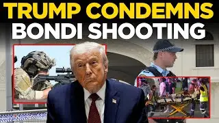 Trump News LIVE: US President Trump reacts to Bondi Beach terror shooting | Bondi Beach shooting