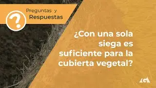 &iquest;Con Una Sola Siega es Suficiente para la Cubierta Vegetal?
