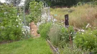 AMBLECOTE IN BLOOM