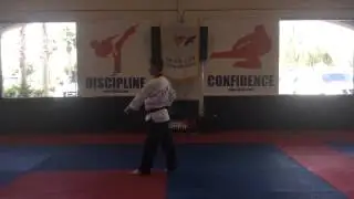 Tae Geuk Sam Jang by Grand Master Choi (Orange Belt)