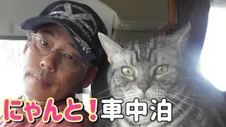 天国の妻からのプレゼント！大阪の人気の道の駅車中泊！
