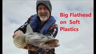 Big Flathead on Soft Plastics in Brisbane Waters , Central Coast