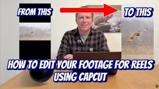 How to edit your wildlife videos to use as a reel using CapCut