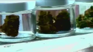 Georgia to be first state with medical marijuana in pharmacies