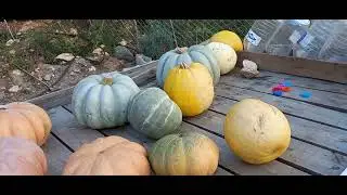 GÖRÜLMEYE DEĞER BİR ÇİÇEK BAHÇESİ / RENGARENK ÇİÇEKLERLE CENNET GİBİ BİR KÒY EVİ