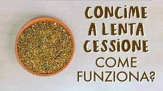 Concimi a lenta cessione: a cosa servono e come funzionano!