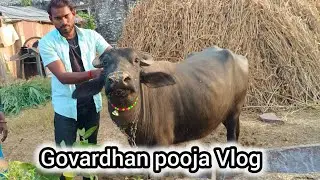 Govardhan Pooja Vlog 🙏 || Village Life Style Vlog || Meena Vlog || Krishna Meena Vlog ||