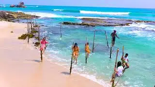From Tea Hills to Ocean Thrills: Discover Sri Lanka's Natural Wonders
