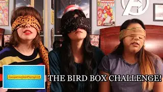 THE BIRD BOX CHALLENGE!