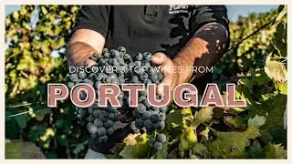 Discover 3 Top Portuguese Wines for Adventurous Palates!