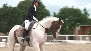 2. kolo - čtyřlet&iacute; koně - drezura - fin&aacute;le KMK 2017 Zduchovice