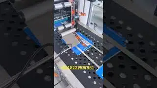 Pharmaceutical and Cosmetic Carton Labeling Machine