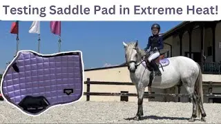Is it the Greatest Saddle Pad on the Market? - Lemieux on a Week of Intense Usage