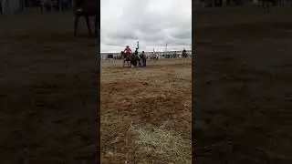 David Coronel vs La coneja