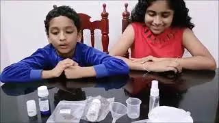 Little Scientist (science kit )