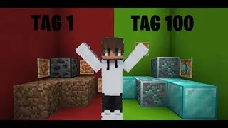 ICH spiele zum ERSTEN mal auf dem DONUT SMP in Minecraft!