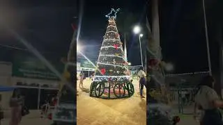 Brazilian Christmas Tree and Music 🤣 #brasil #christmas #christmastree